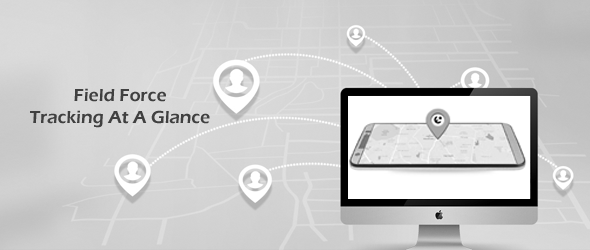 Field Force Tracking At a Glance